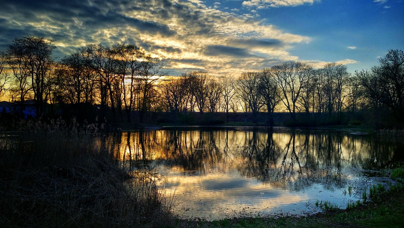 Abendstimmung im Herbst mit Bäumen