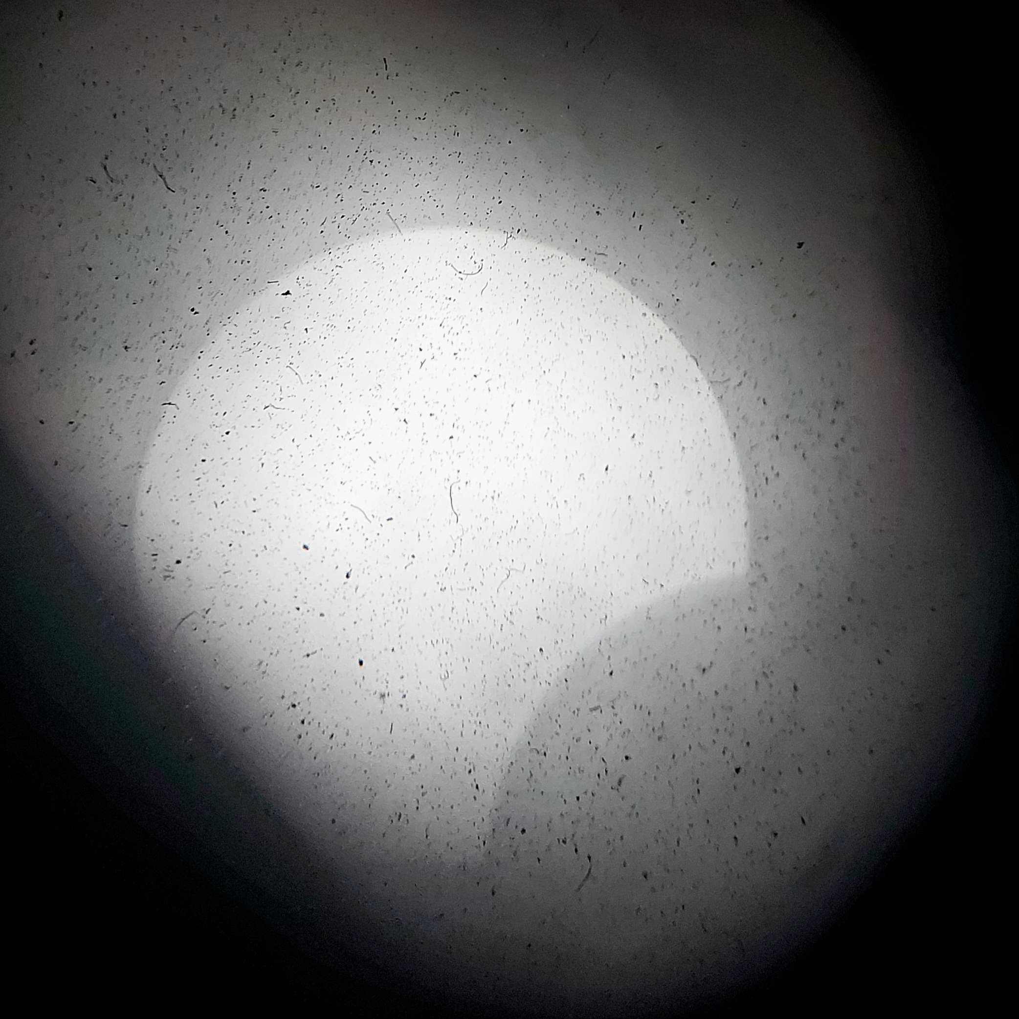 Aufnahme der partiellen Sonnenfinsternis am 25.10.2022 um 11:32 Uhr