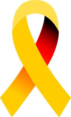 Schleife Veteranentag