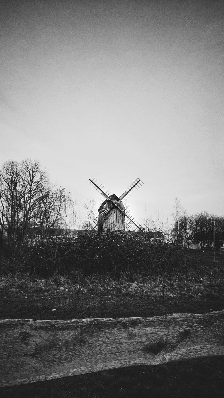 Windmühle Holzhausen
